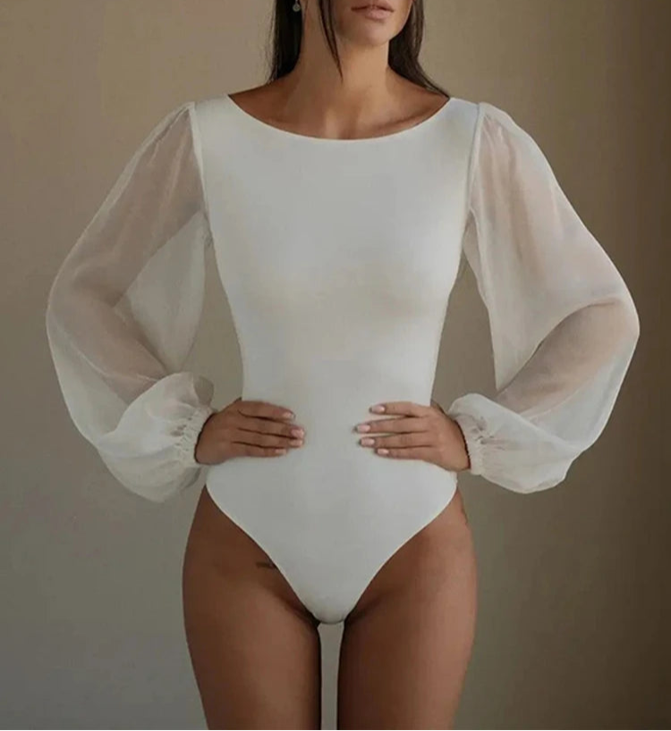 Bodysuit Mesh Long Sleeve Bodycon One-Piece Jumpsuit with Round Neck